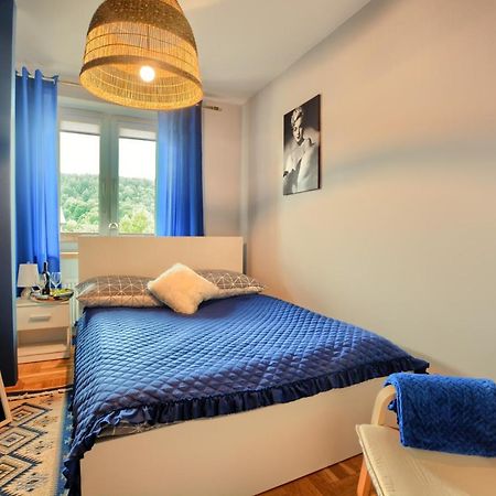 Apartamenty Bieszczadzki Aniol 우스트르치키 돌네 외부 사진
