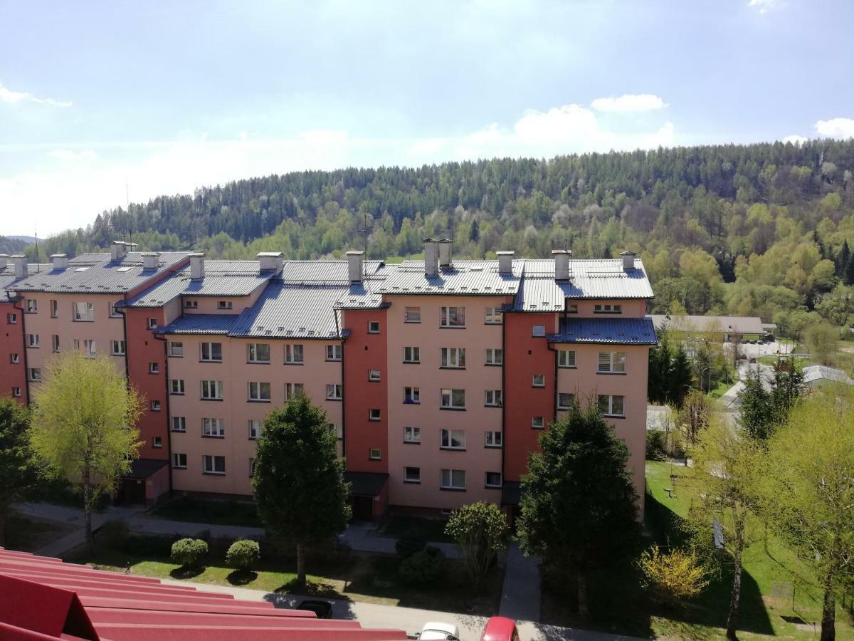 Apartamenty Bieszczadzki Aniol 우스트르치키 돌네 외부 사진